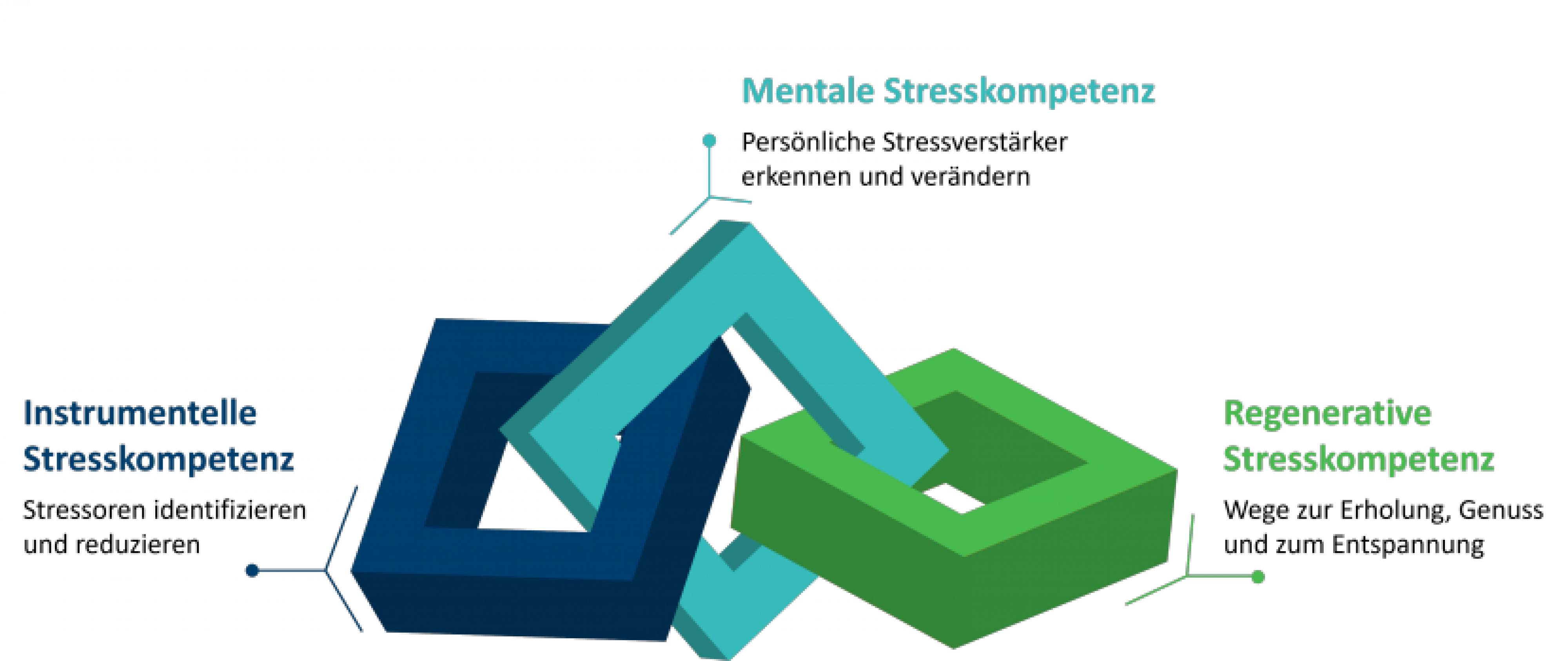 Instrumentelle, mentale, regenerative Stresskompetenz